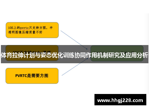 体育拉伸计划与姿态优化训练协同作用机制研究及应用分析